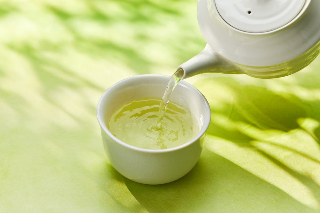 煎茶って何?緑茶と何が違うの?|意外と知らない煎茶の定義