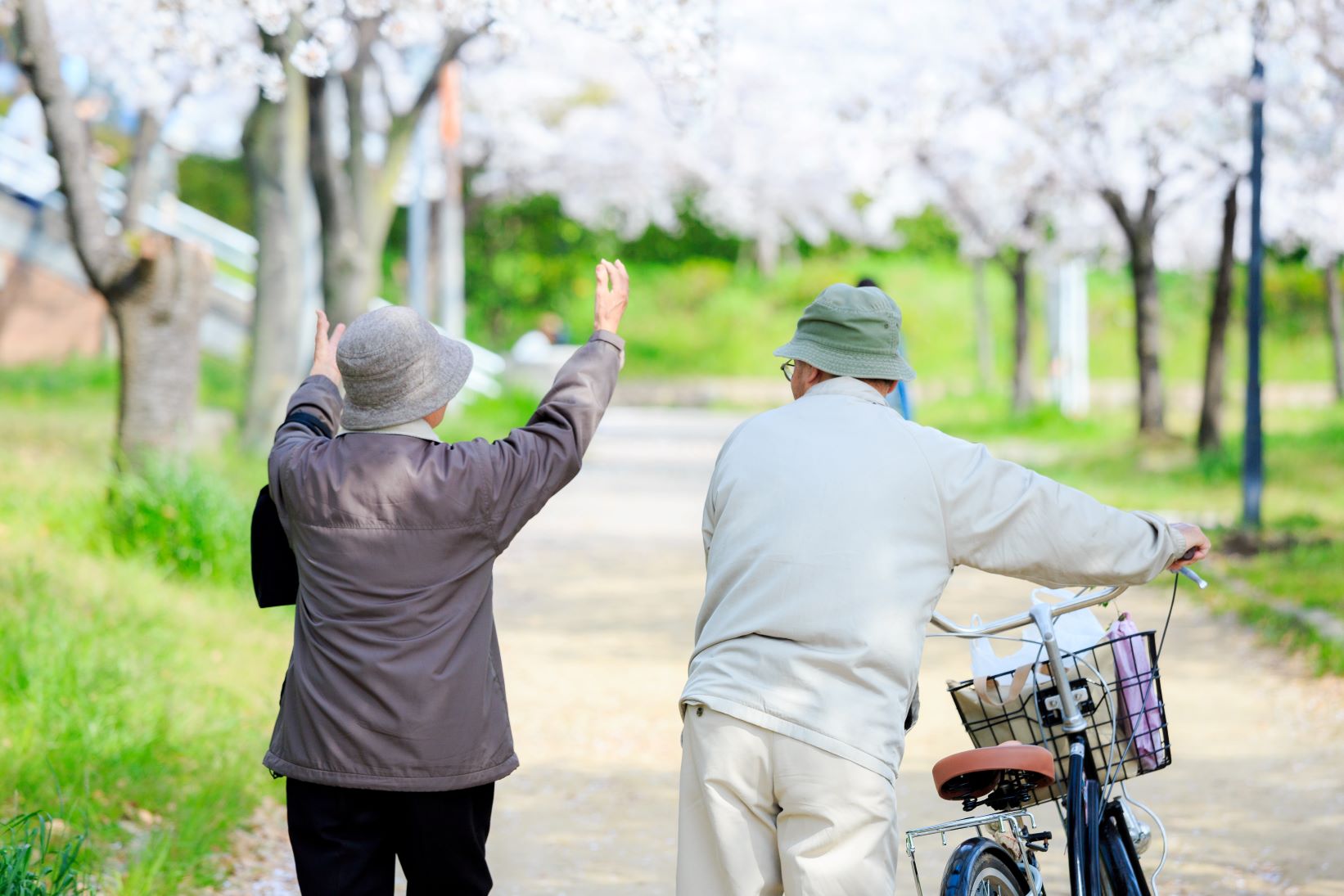 長寿のお祝い完全ガイドと年齢早見表:年齢・由来・海苔ギフトで伝える感謝の気持ち