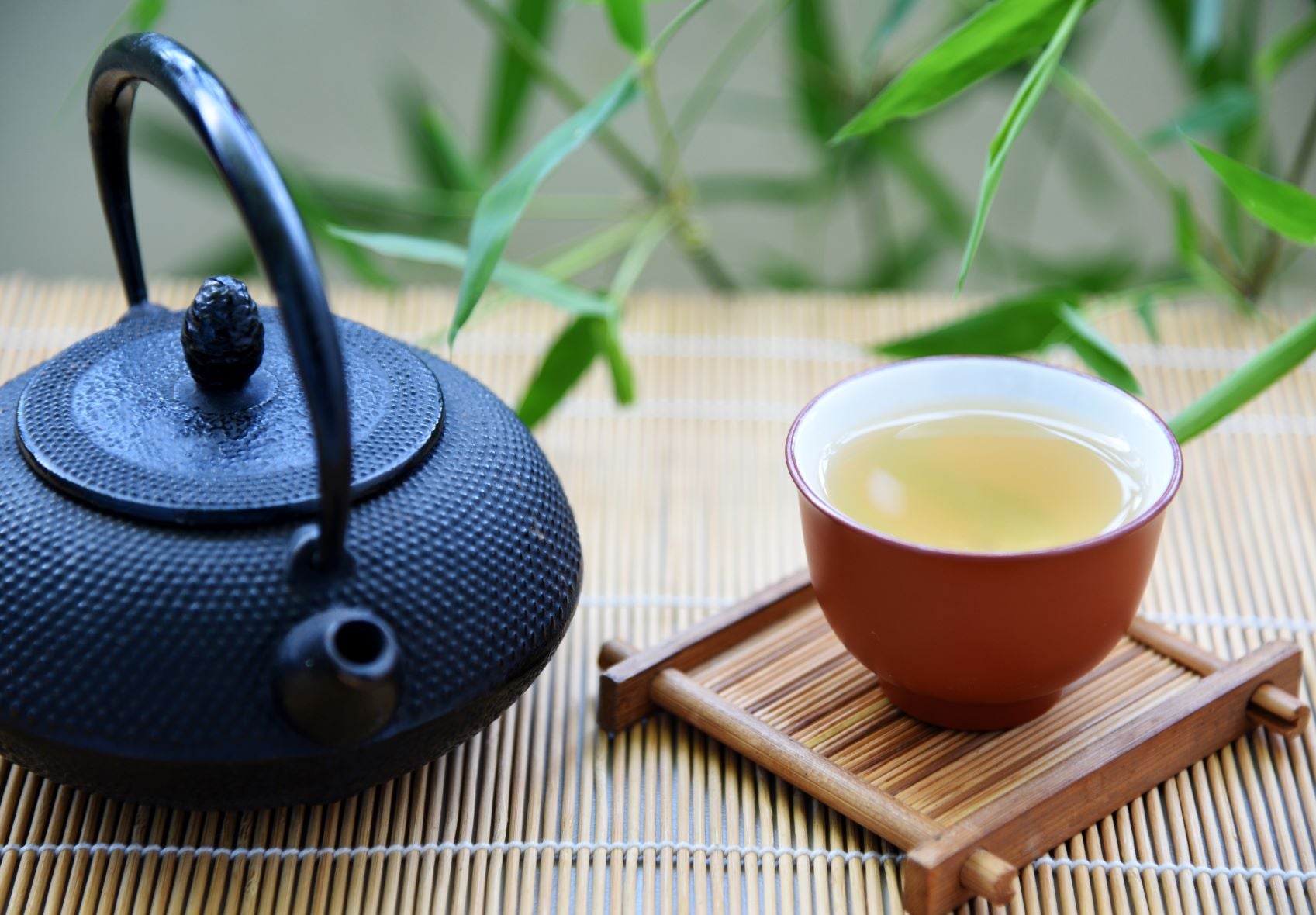 お茶の水色が違うのはなぜ?淹れ方や製法でも変わる色の秘密