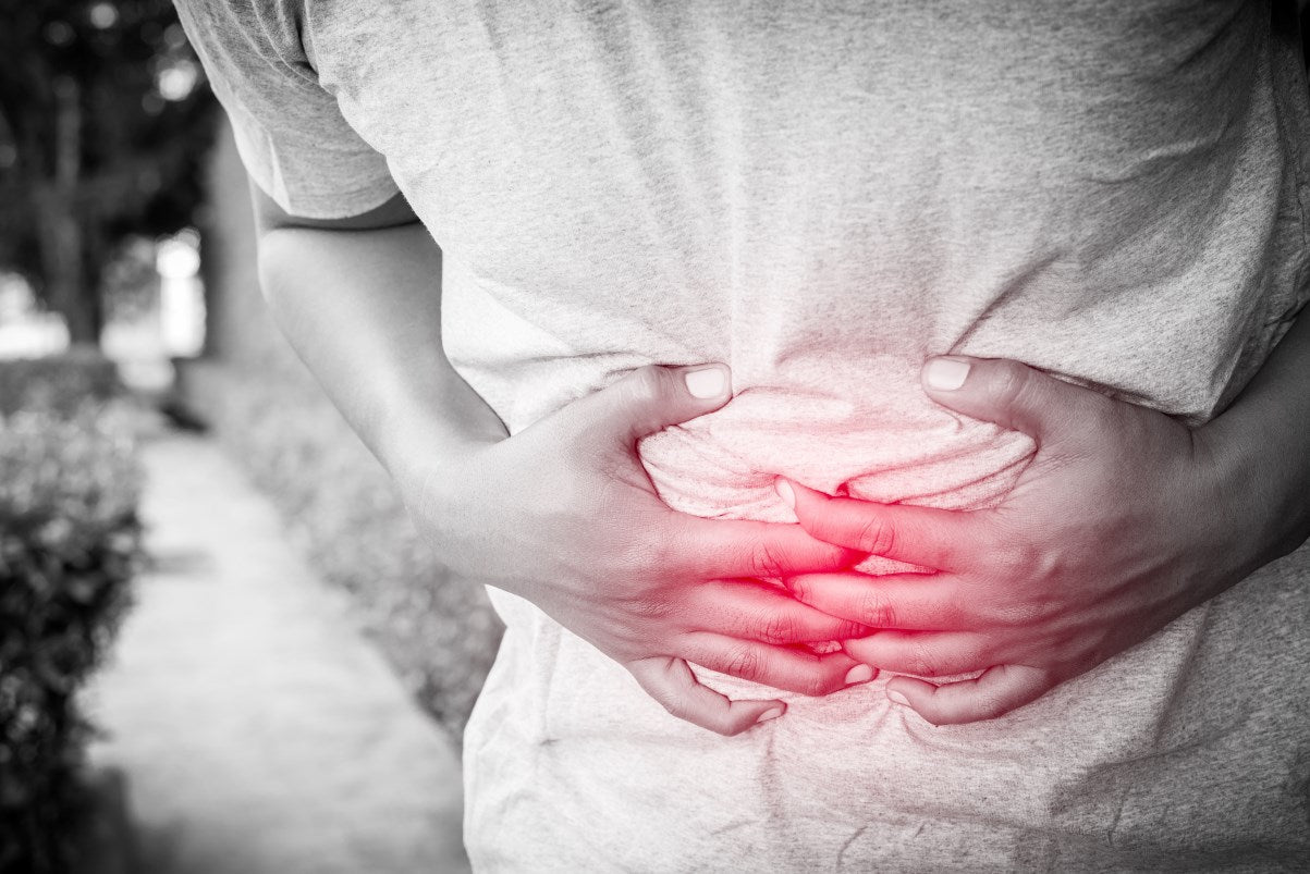 緑茶の成分がすごい!がん予防とピロリ菌除菌の秘密