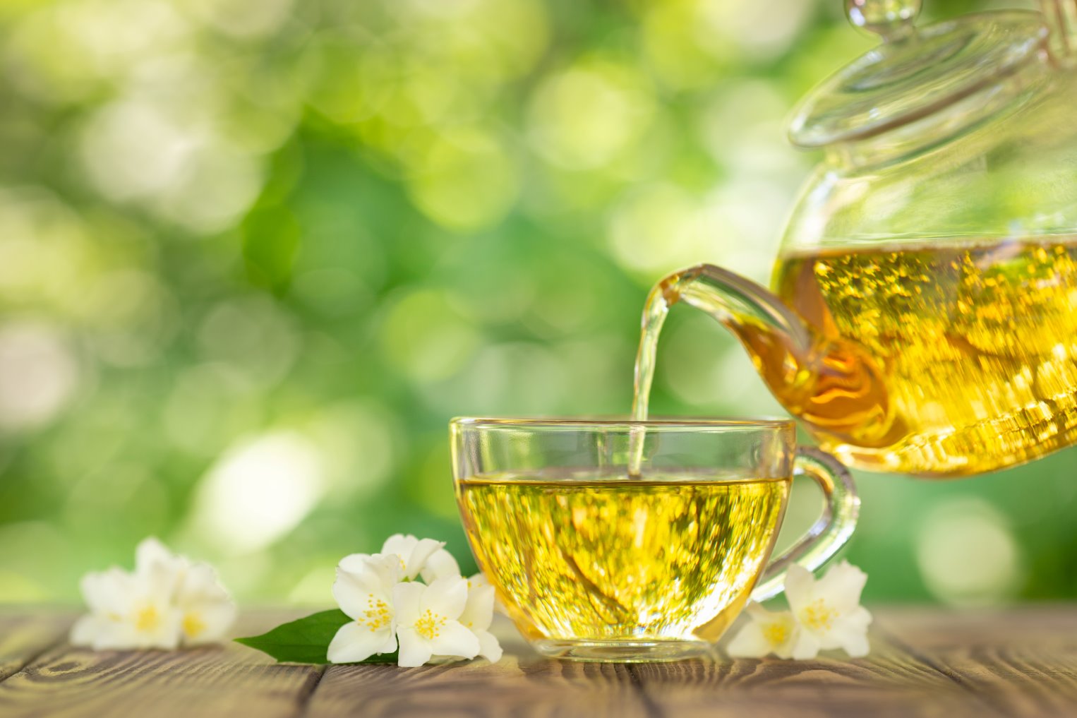 香りがたまらない!ジャスミン茶は実は緑茶だった!