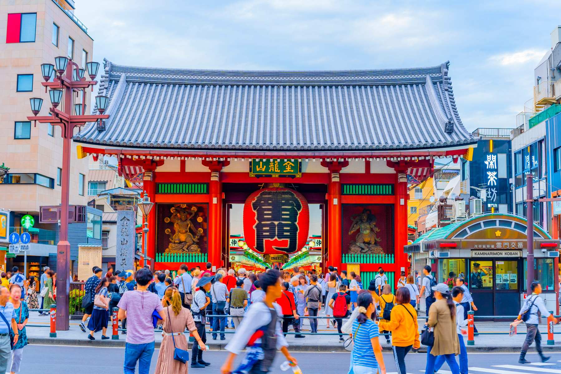 江戸時代から愛される幻の浅草海苔|特徴とその歴史