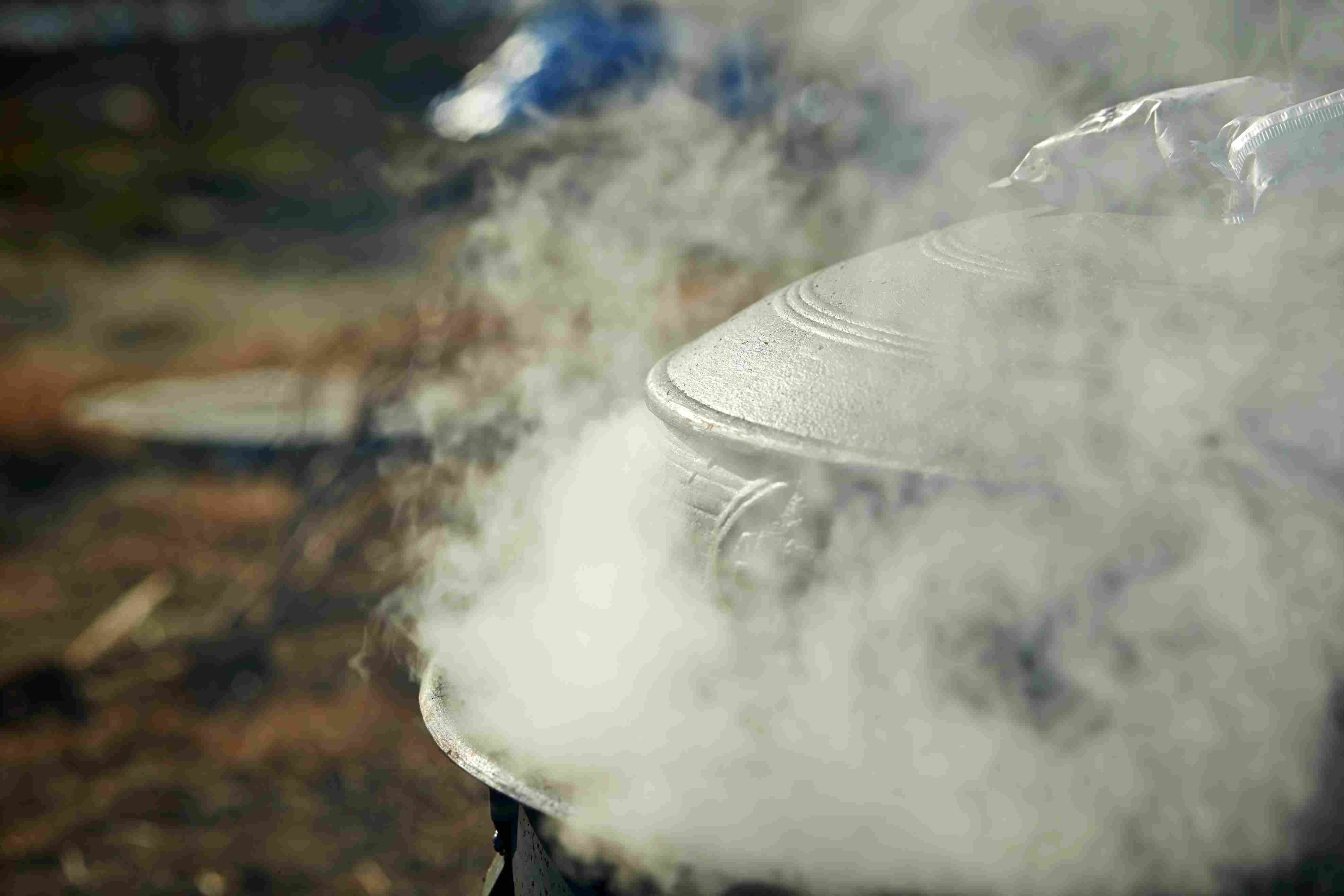 緑茶が緑色のワケ!蒸す秘密を解説
