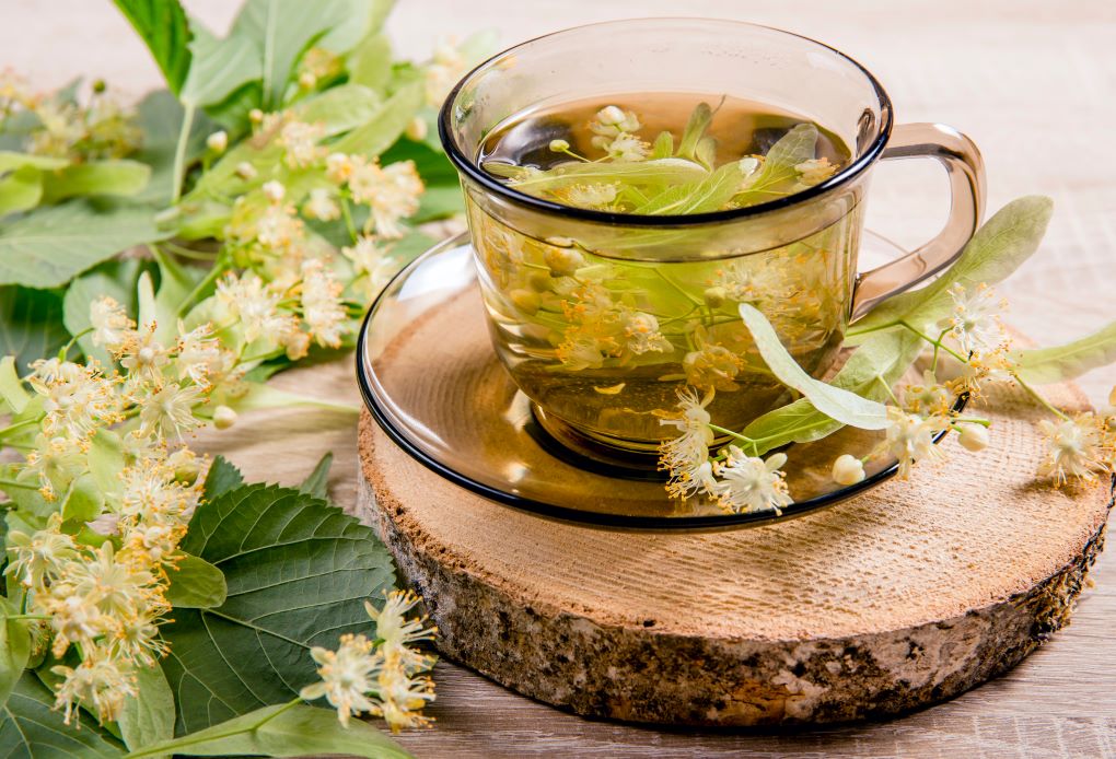 おうちで簡単!アレンジ自在♪自分だけのフレーバー緑茶