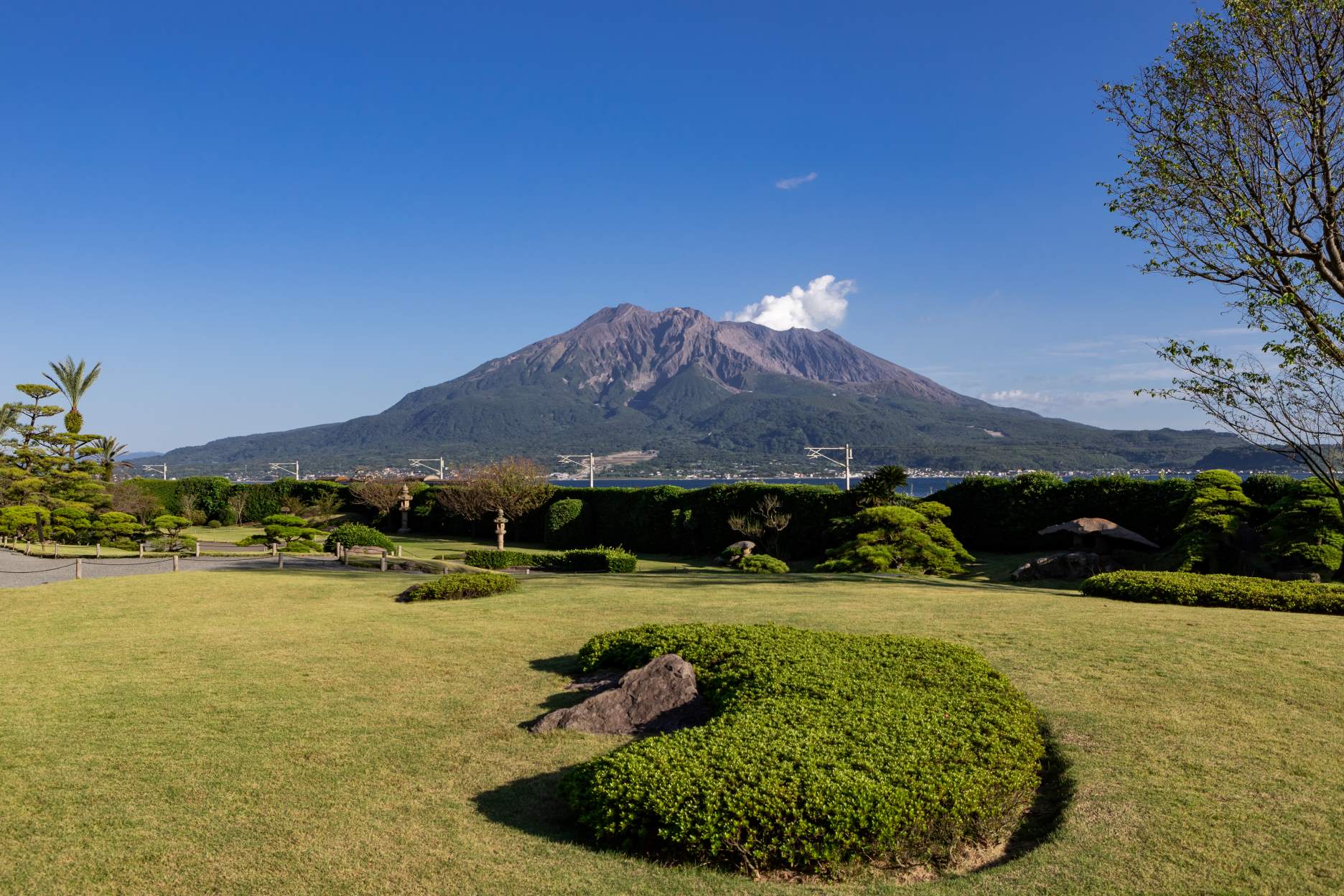 実は全国2位!鹿児島茶が全国有数の生産量を誇る理由