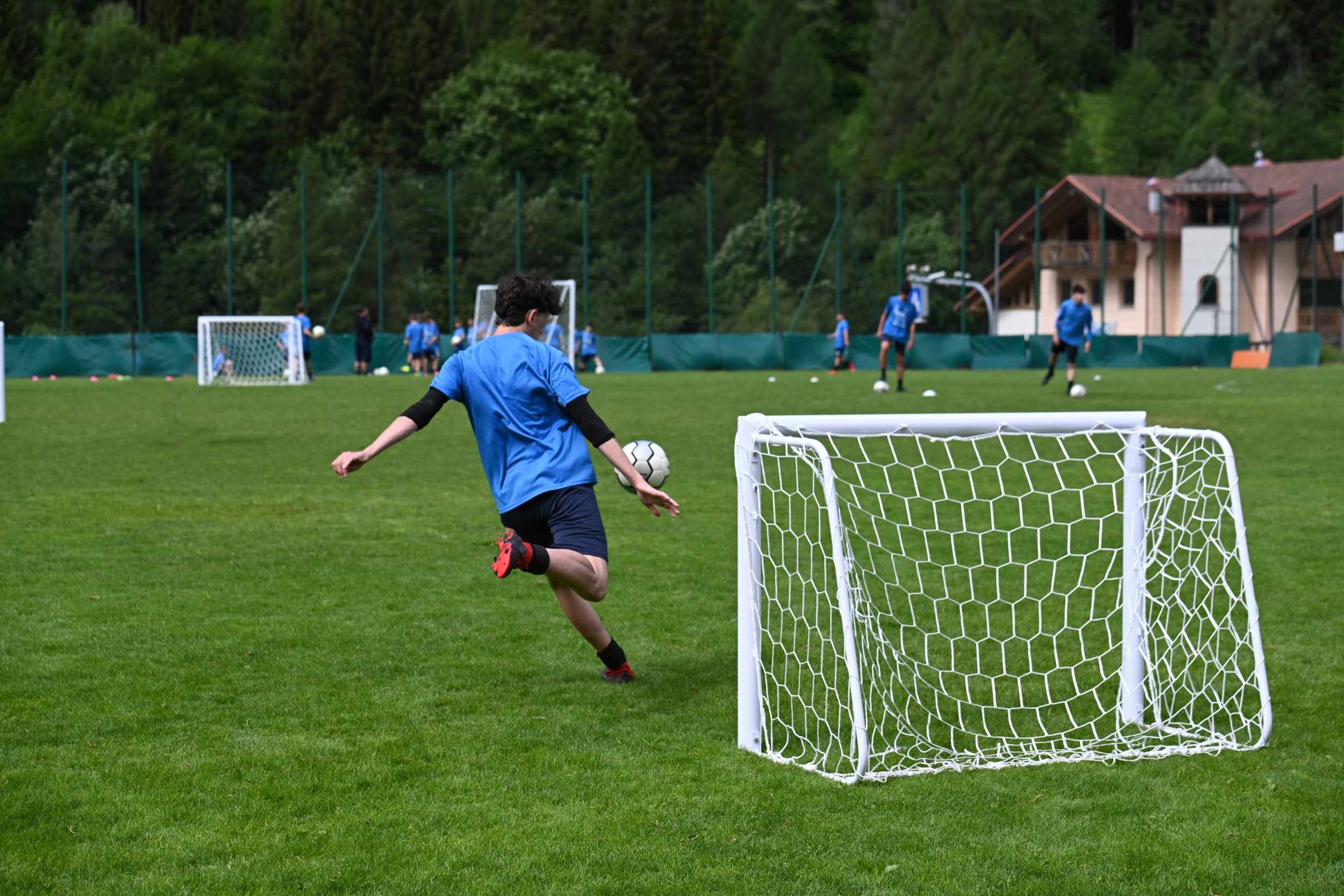 実は栄養満点!不足しがちなカルシウム、海苔で手軽に摂取しよう