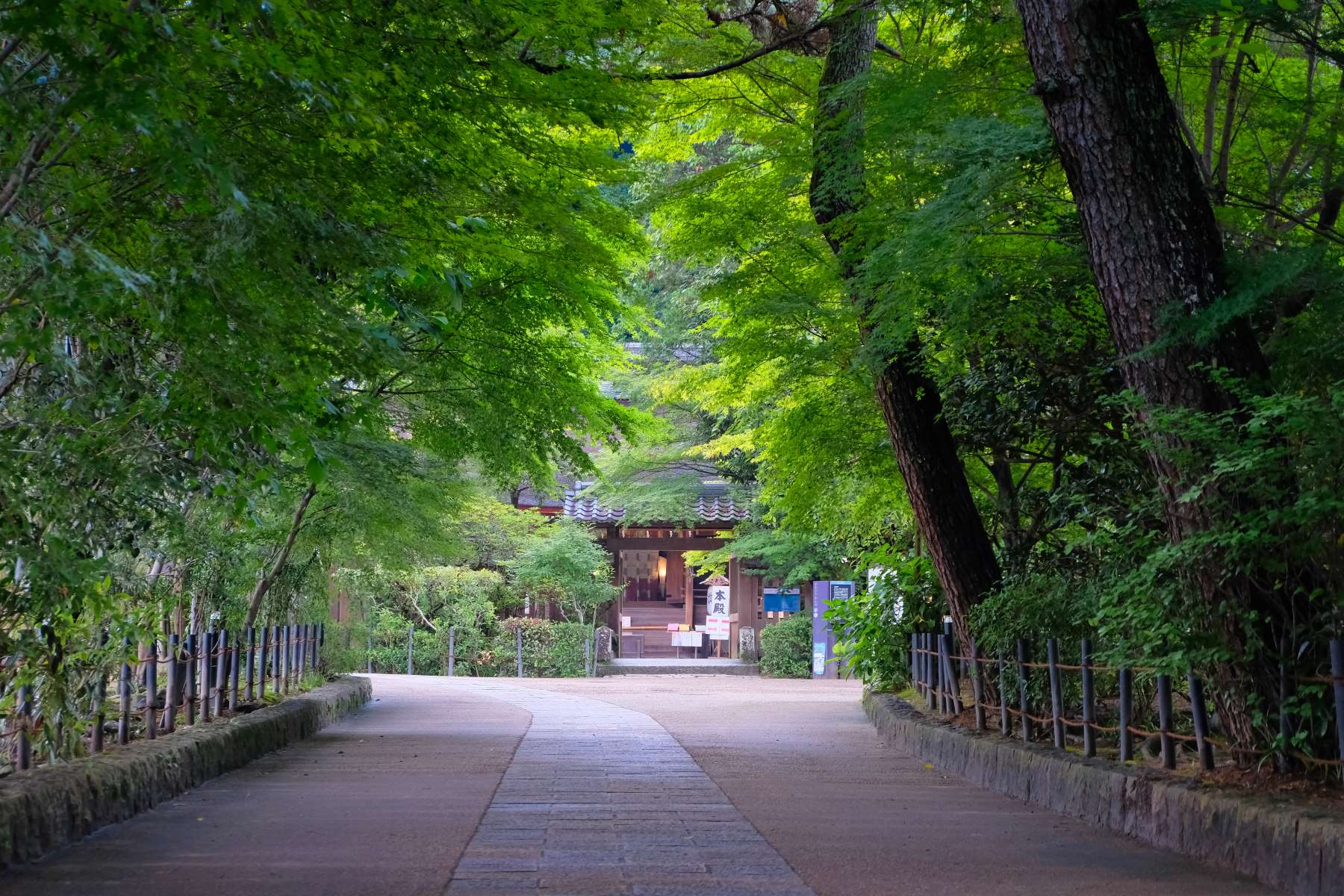 古都の薫り、日本茶を牽引する宇治茶の歴史物語