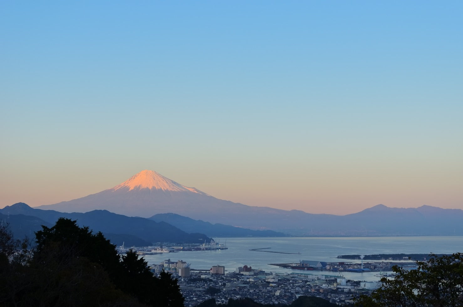 日本茶の王様！静岡茶の魅力と生産量日本一の歴史を深掘り