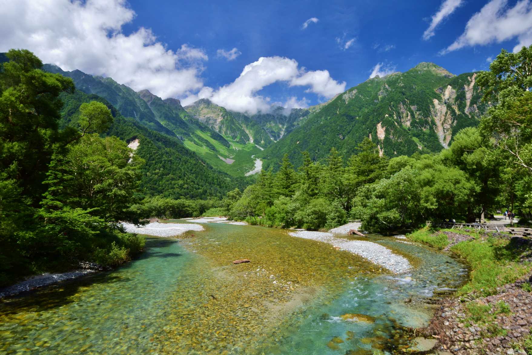 山間地のお茶が美味しい理由と、北限の茶の魅力