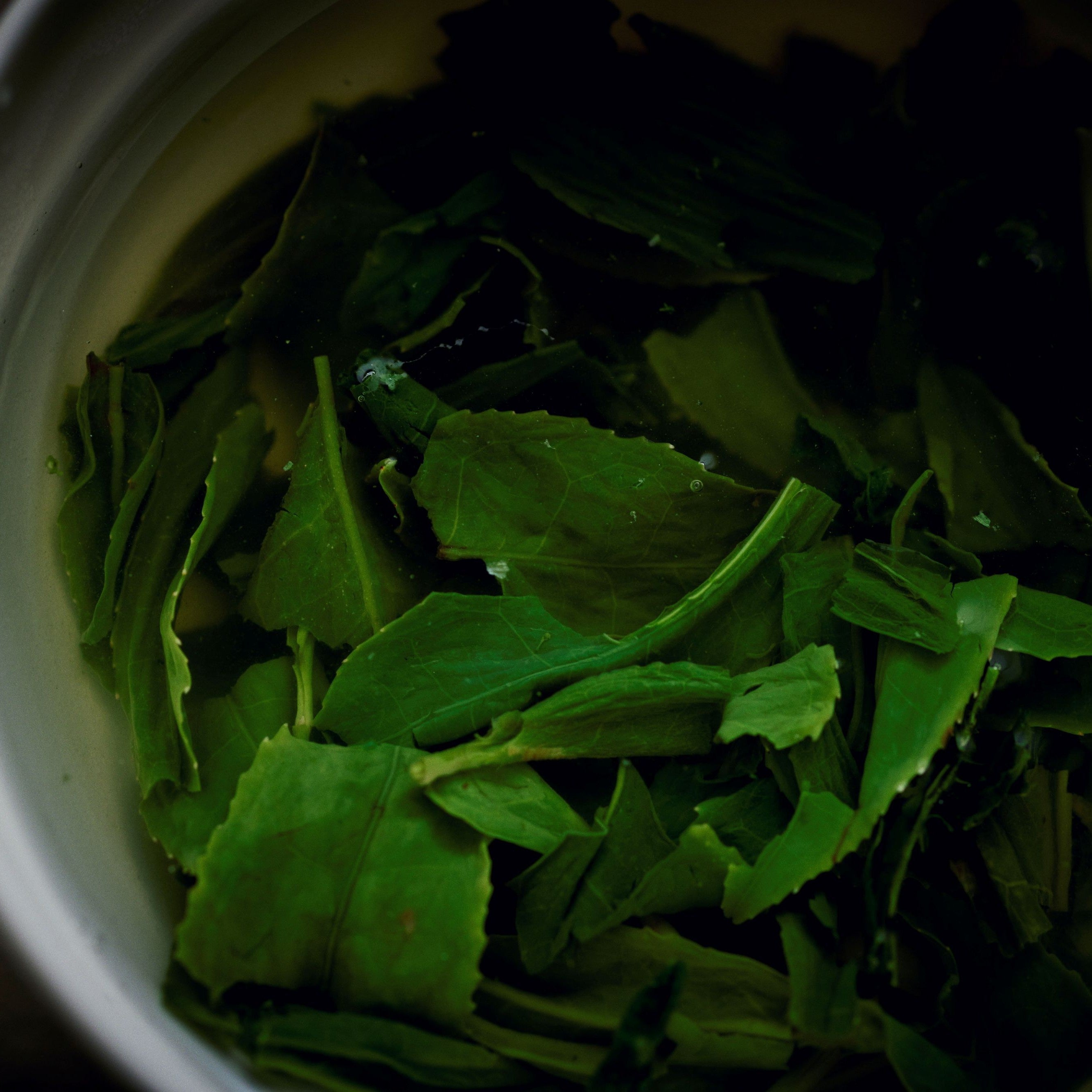 玉露を淹れる様子